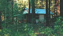 
tree houses, treehouses, the cottage, cabins at gathering light, a retreat offering cabins near crater lake national park and klamath basin birding trails in southern oregon. cabins, tree houses, rv camping and vacation rentals in the forest on the river near crater lake national park and klamath basin birding trails.