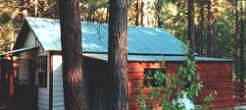 Cabin #3 viewed from carport, at gathering light ... a retreat near crater lake national park and the klamath basin birding trails in southern oregon. gathering light, a retreat offering cabins near crater lake national park and klamath basin birding trails in southern oregon. cabins, tree houses, rv camping and vacation rentals in the forest on the river near crater lake national park and klamath basin birding trails.