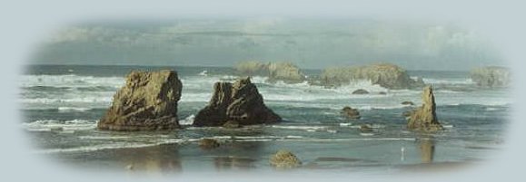 Sightseeing on the oregon coast, traveling along the Pacific Coast Scenic Byway: cape arago, cape sebastian, thomas creek bridge, brookings, florence, reedsport, gold beach, sunset bay, natural bridge, bandon, samuel j boardman state park, hiking trails, siltcoos lake and more.