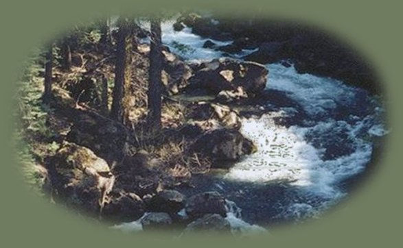 the mccloud river south of mt shasta, east of mccloud, california at fowler campground.