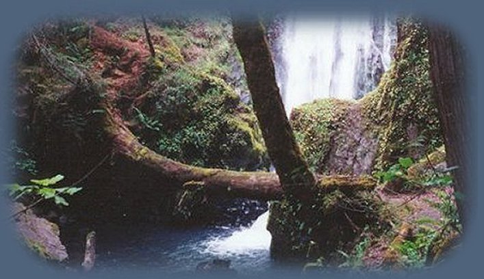 susan creek waterfall on the wild and scenic umpqua river in the cascades of oregon. travel oregon in our national forests, in the umpqua national forest, hiking trails on the wild and scenic umpqua river in the umpqua national forest in the cascade mountains of oregon. campsites, day use areas, national forest campsites, hiking trails, fishing, salmon, steelhead, waterfalls, swimming, camping, picnicking on the river and at toketee and lemolo lakes, hiking the umpqua river trail from swiftwater falls to maidu lake at the source. drive one of the many scenic byways of oregon, the rogue umpqua scenic byway, to crater lake national park in oregon along the wild and scenic umpqua river in the cascade mountains of oregon, one of the many wild and scenic rivers in oregon.