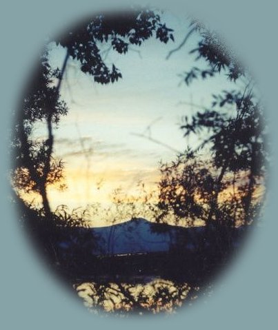 Wood River Wetlands: none of the many klamath basin birding trails, situated in the heart of the Pacific Flyway, klamath basin sustains over 430 species of resident and migratory birds, including bald eagles, sandhill cranes and pelicans: haven for birders, canoe trails on the lake.