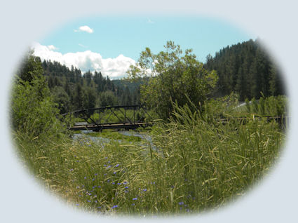 the seeds of life at crater lake national park near gathering light ... a retreat in southern oregon: cabubs, treehouses in the forest on the river.