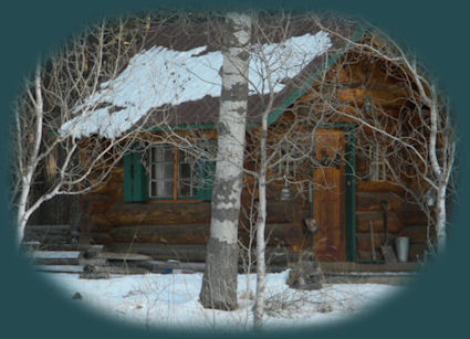 cabins and tree houses in the forest on the river at gathering light ... a retreat in southern oregon near crater lake national park.