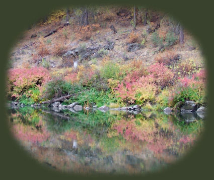 stay in the cabins and tree houses at gathering light ... a retreat located in southern oregon near crater lake national park and travel oregon and northern california and see mcarthur burney waterfalls, mcarthur burney hiking trails, mcarthur burney state park, mt shasta, hike from bunny flats on mt shasta, castle lake, shasta city, california, dunsmuir, california, mccloud, california, mccloud river, sacramento river, upper mccloud river waterfalls, middle mccloud river waterfalls, lower mccloud river waterfalls, hiking trails along the mccloud river, along the sacramento river, on mt shasta, hiking trails to hedge creek waterfalls in dunsmuir, california, hiking trails along the sacramento river to mossbrae waterfalls in dunsmuir, california, castle crags state park, hiking trails in castle crags wilderness area, camping in castle crags state park, camping on the mccloud river at fowler creek campground, hiking trails to mountain lakes, hiking trails around castle lake, volcanoes, geology, oregon geology, california geology, shasta trinity national forest, rogue national forest, national forests, wilderness areas, russian wilderness areas, castle crags wilderness areas, lava flows, lava beds national monument, national wildlife refuges, wetlands.