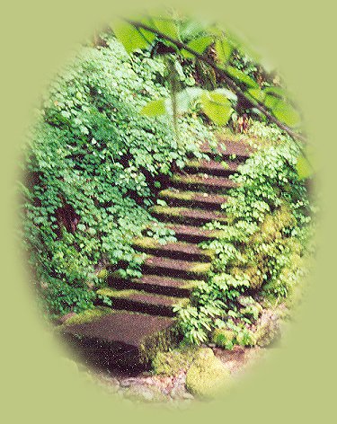 Brice creek waterfalls, stairway with trail to the creek from the campground.