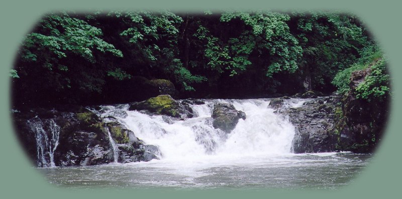 cavitt creek waterfalls and recreation area managed by the BLM; enjoy camping in the umpqua national forest and hiking trails to waterfalls in the wild and scenic umpqua river watershedt: brice creek waterfalls, moon waterfalls, pinard waterfalls, spirit falls; hiking trails off the Rogue Umpqua Scenic byway on the wild and scenic umpqua river in the umpqua national forest: toketee waterfalls, watson falls hiking trails, fall creek falls, susan creek day use area, susan creek hiking trails, susan creek campgrounds off the rogue umpqua scenic byway, toketee campgrounds off the rogue umpqua scenic byway, lemolo campgrounds off the rogue umpqua scenic byway, diamond lake campgrounds, boulder creek campgrounds, canyon creek campgrounds, umpqua national forest campgrounds, clearwater falls campgroud, island campgrounds, lake in the woods campgrounds, bogus creek campgrounds, devil's campground on cow creek, cedar creek campground on brice creek, rujada campground on layng creek, apple creek campgrounds, whitehorse falls campground, susan creek waterfalls, north umpqua river, south umpqua river, umpqua river hiking trails accessed off the rogue umpqua scenic byway, forest service campgrounds, blm campgrounds, travel oregon through the cascade mountains, cavitt creek recreation area, deadline falls, steelhead in the umpqua river, angling, hiking trails to lemolo waterfalls, clearwater waterfalls, whitehorse waterfalls, clearwater river, toketee lake, umpqua hot springs, steamboat creek waterfalls, warm springs waterfalls, lemolo lake; hiking trails on the little river in the umpqua river watershed in the umpqua national forest: wolf creek waterfalls, grotto falls, hemlock waterfalls, hemlock lake, cavitt creek waterfalls, recreation area, shadow waterfalls, yakso waterfalls; hiking trails on the south umpqua river watershed: south umpqua waterfalls, campbell waterfalls, hiking trails in theboulder creek wilderness area, hiking trails in the mt thielsen rogue umpqua divide wilderness area, cathedral waterfalls off the south umpqua river; hiking trails in the row river watershed: moon, spirit and pinard waterfalls.