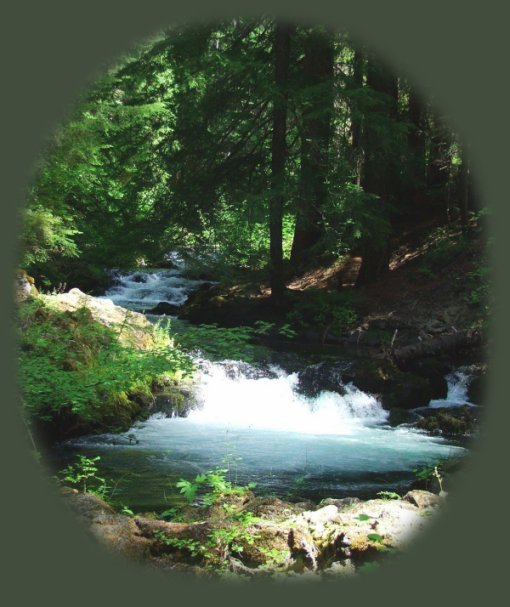 clearwater waterfalls on the rogue umpqua divide, on the rogue umpqua scenic byway in the cascade mountains of oregon; enjoy camping in the umpqua national forest and hiking trails to waterfalls in the wild and scenic umpqua river watershedt: brice creek waterfalls, moon waterfalls, pinard waterfalls, spirit falls; hiking trails off the Rogue Umpqua Scenic byway on the wild and scenic umpqua river in the umpqua national forest: toketee waterfalls, watson falls hiking trails, fall creek falls, susan creek day use area, susan creek hiking trails, susan creek campgrounds off the rogue umpqua scenic byway, toketee campgrounds off the rogue umpqua scenic byway, lemolo campgrounds off the rogue umpqua scenic byway, diamond lake campgrounds, boulder creek campgrounds, canyon creek campgrounds, umpqua national forest campgrounds, clearwater falls campgroud, island campgrounds, lake in the woods campgrounds, bogus creek campgrounds, apple creek campground, steamboat falls campground, williams creek and eagle rock campgrounds, horseshoe bend and canton creek campgrounds, devil's campground on cow creek, cedar creek campground on brice creek, rujada campground on layng creek, whitehorse falls and clearwater falls campgrounds, susan creek waterfalls, north umpqua river, medicine creek native pictorgraphs, indian pictographs, south umpqua river, umpqua river hiking trails accessed off the rogue umpqua scenic byway, forest service campgrounds, blm campgrounds, cavitt creek recreation area, deadline falls, steelhead in the umpqua river, angling, hiking trails to lemolo waterfalls, clearwater waterfalls, whitehorse waterfalls, clearwater river, toketee lake, umpqua hot springs, steamboat creek waterfalls, warm springs waterfalls, lemolo lake; hiking trails on the little river in the umpqua river watershed in the umpqua national forest: wolf creek waterfalls, grotto falls, hemlock waterfalls, hemlock lake, cavitt creek waterfalls, recreation area, shadow waterfalls, yakso waterfalls; hiking trails on the south umpqua river watershed: south umpqua waterfalls, campbell waterfalls, hiking trails in the boulder creek wilderness area, hiking trails in the mt thielsen rogue umpqua divide wilderness area, old growth forests, cathedral waterfalls off the south umpqua river; hiking trails in the row river watershed: moon, spirit and pinard waterfalls.