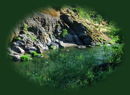 cow creek in the wild and scenic umpqua river watershed, in the umpqua national forest in oregon.