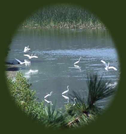 eagle ridge birding trail not far from gathering light ... a retreat located in southern oregon near crater lake national park: cabins, tree houses on the river in the forest.