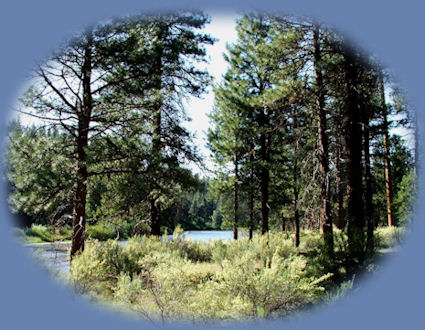 
walking riverside at Gathering Light ... a retreat near crater lake national park in southern Oregon.