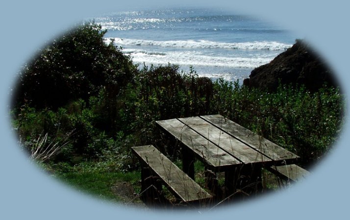 ecola point at ecola beach at ecola state park on the oregon coast.