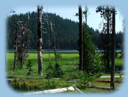 
elk lake on the cascade lakes scenic byway in central oregon offering more than a hundred alpine lakes, hiking trails and mountains.