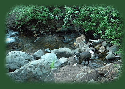 
barrel springs surprise valley back country byway in northeastern california, shadowed by the glory of the south warners, mountains, and the south warner wilderness in the modoc national forest of california
.