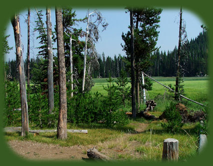 
s twin lake, located near wickiup reservoir, accessed on FS 42, a turn east from fs 46, the cascade lakes scenic byway in central oregon offering more than a hundred alpine lakes, hiking trails and mountains.