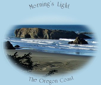 traveling south on the oregon coast to jedediah smith redwoods state park and the simpson-reed discovery trail in the california redwoods.