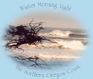 sightseeing: winter's morning light on the northern oregon coast.