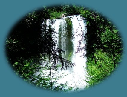 koosah waterfall: hiking the mckenzie river national recreation hiking trail.