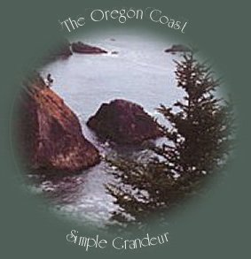 Photograph the oregon coast, sightseeing near brookings, oregon and the natural bridge.