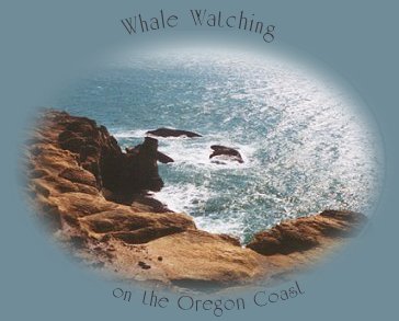 Whale watching on the oregon coast, north of florence, oregon in the spring.