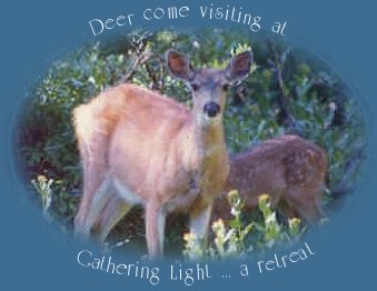 deer come visiting at gathering light ... a retreat in southern oregon near crater lake national park: cabins, treehouses on the river in the forest.