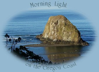 Arcada beach south of cannon beach on the oregon coast.