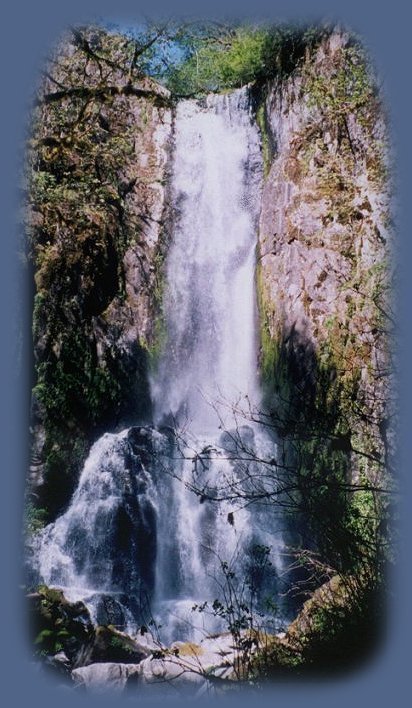 the left waterfall at kentucky waterfalls on the smith river in the coast range of oregon, not far from florence, on the oregon coast.