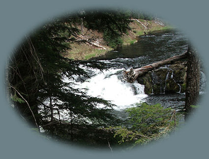 enjoy camping in the umpqua national forest and hiking trails to waterfalls in the wild and scenic umpqua river watershedt: brice creek waterfalls, moon waterfalls, pinard waterfalls, spirit falls; hiking trails off the Rogue Umpqua Scenic byway on the wild and scenic umpqua river in the umpqua national forest: toketee waterfalls, watson falls hiking trails, fall creek falls, susan creek day use area, susan creek hiking trails, susan creek campgrounds off the rogue umpqua scenic byway, toketee campgrounds off the rogue umpqua scenic byway, lemolo campgrounds off the rogue umpqua scenic byway, diamond lake campgrounds, boulder creek campgrounds, canyon creek campgrounds, umpqua national forest campgrounds, clearwater falls campgroud, island campgrounds, lake in the woods campgrounds, bogus creek campgrounds, devil's campground on cow creek, cedar creek campground on brice creek, rujada campground on layng creek, apple creek campgrounds, whitehorse falls campground, susan creek waterfalls, north umpqua river, south umpqua river, umpqua river hiking trails accessed off the rogue umpqua scenic byway, forest service campgrounds, blm campgrounds, travel oregon through the cascade mountains, cavitt creek recreation area, deadline falls, steelhead in the umpqua river, angling, hiking trails to lemolo waterfalls, clearwater waterfalls, whitehorse waterfalls, clearwater river, toketee lake, umpqua hot springs, steamboat creek waterfalls, warm springs waterfalls, lemolo lake; hiking trails on the little river in the umpqua river watershed in the umpqua national forest: deer creek waterfalls, grotto falls, hemlock waterfalls, hemlock lake, cavitt creek waterfalls, recreation area, shadow waterfalls, yakso waterfalls; hiking trails on the south umpqua river watershed: south umpqua waterfalls, campbell waterfalls, hiking trails in theboulder creek wilderness area, hiking trails in the mt thielsen rogue umpqua divide wilderness area, cathedral waterfalls off the south umpqua river; hiking trails in the row river watershed: moon, spirit and pinard waterfalls.