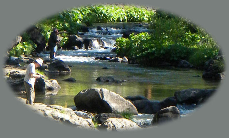 hiking trails along the mccloud river in the shasta trinity national forest in northern california.