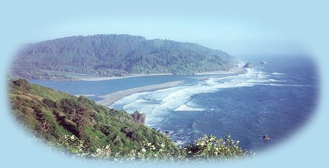 the mouth of the klamath river on the california coast south of crescent city, the california redwoods state and national parks.