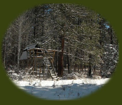 stay in the cabins in the forest at Gathering Light retreat in southern oregon near crater lake national park experience volcanoes, geology, hiking trails, oregon geology, rogue river siskiyou national forest, wild and scenic rogue river, wild and scenic umpqua river, rogue gorge at union creek, oregon, national rogue river hiking trail, rogue national forest, national forests, wilderness areas, national wildlife refuges, wetlands, klamath basin, prospect, oregon, mill creek waterfalls on the rogue river, barr creek waterfalls on the rogue river, avenue of giant boulders on the rogue river, hiking trails to mill creek waterfalls, hiking trails to barr creek waterfalls on the rogue river, hiking trails to national creek waterfalls in the rogue river siskiyou national forest, hiking trails along the rogue river, hiking trails to the natural bridge, hiking trails at crater lake national park, crater lake national park, hiking trails on the wild and scenic rogue river, hiking trails to national creek waterfalls, national wildlife refuges, wetlands, rabbit ears, the cascade mountains, the old cascade mountains, mt thielsen, hiking trails at crater lake, crater lake national park.