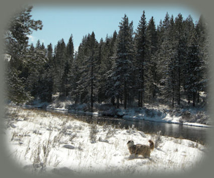 the warner mountains in northern california is about 100 miles from gathering light ... a retreat: cabins, tree houses, and more on the river, surrounded by winema national forest and not far from crater lake national park.