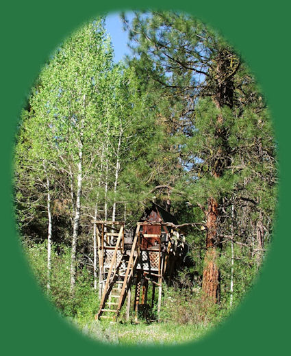 The stargazer tree house at gathering light ... a retreat located in southern oregon near crater lake national park: cabins, treehouses in the forest on the river. travel to gathering light ... a retreat in southern oregon on scenic byways, travel oregon along wild and scenic rivers, through our national forests and in the cascade mountains of oregon.