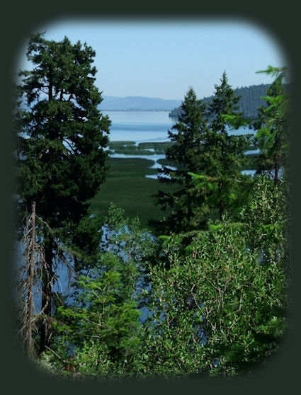 wetlands at eagle ridge on klamath lake near gathering light ... a retreat in southern oregon near crater lake national park: cabins, treehouses in the forest on the river.