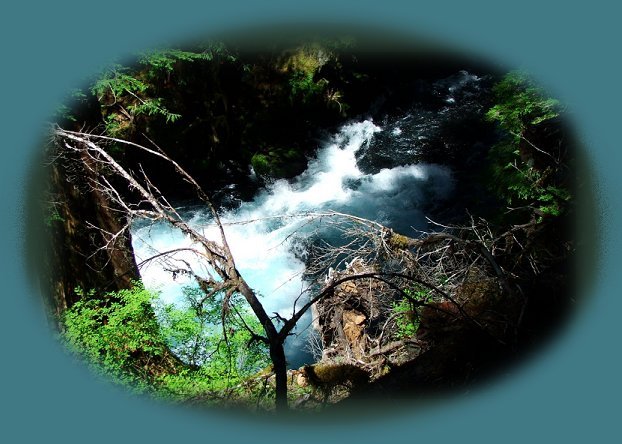 the roaring river found in between the south mckenzie and north fork of the middle willamette, a wild and scenic river, on the west cascades national scenic byway.