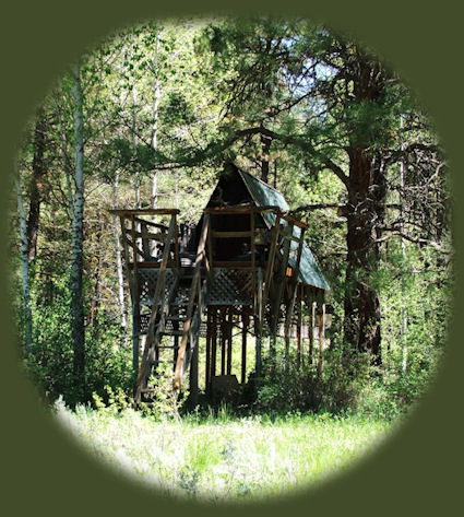 stay in the Cabins and tree houses at gathering light retreat in southern oregon near crater lake national park and from there travel oregon and experience volcanoes, geology, hiking trails, oregon geology, rogue siskiyou national forest, wild and scenic rogue river, wild and scenic umpqua river, rogue gorge at union creek, oregon, national rogue river hiking trail, rogue national forest, national forests, wilderness areas, national wildlife refuges, wetlands, klamath basin, prospect, oregon, mill creek waterfalls on the rogue river, barr creek waterfalls on the rogue river, avenue of giant boulders on the rogue river, hiking trails to mill creek waterfalls, hiking trails along the rogue river, hiking trails to the natural bridge, hiking trails at crater lake national park, crater lake national park, hiking trails on the wild and scenic rogue river, hiking trails to national creek waterfalls, rabbit ears, the cascade mountains, the old cascade mountains, mt thielsen, hiking trails at crater lake.