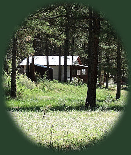 stay in the Cabins and tree houses at gathering light retreat in southern oregon near crater lake national park and from there travel oregon and experience volcanoes, geology, hiking trails, oregon geology, rogue siskiyou national forest, wild and scenic rogue river, wild and scenic umpqua river, rogue gorge at union creek, oregon, national rogue river hiking trail, rogue national forest, national forests, wilderness areas, national wildlife refuges, wetlands, klamath basin, prospect, oregon, mill creek waterfalls on the rogue river, barr creek waterfalls on the rogue river, avenue of giant boulders on the rogue river, hiking trails to mill creek waterfalls, hiking trails along the rogue river, hiking trails to the natural bridge, hiking trails at crater lake national park, crater lake national park, hiking trails on the wild and scenic rogue river, hiking trails to national creek waterfalls, rabbit ears, the cascade mountains, the old cascade mountains, mt thielsen, hiking trails at crater lake.