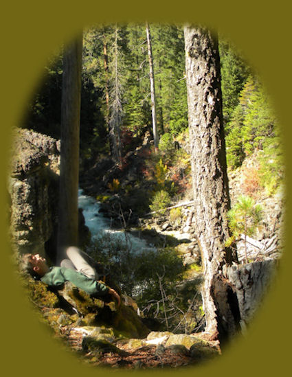 hiking the upper rogue wild and scenic river hiking trails on the rogue river in oregon, not far from crater lake national park.