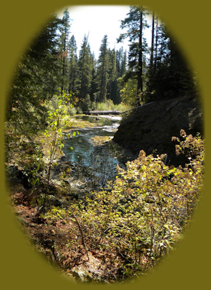 experience the wild beauty of the rogue and umpqua rivers as well crater lake national park, traveling the rogue umpqua scenic byway and the crater lake hwy, oregon hwy 62. hike the upper rogue river hiking trails, the hiking trail along the north umpqua, hiking trails to waterfalls. enjoy umpqua hot springs, toketee and lemolo lakes as well.