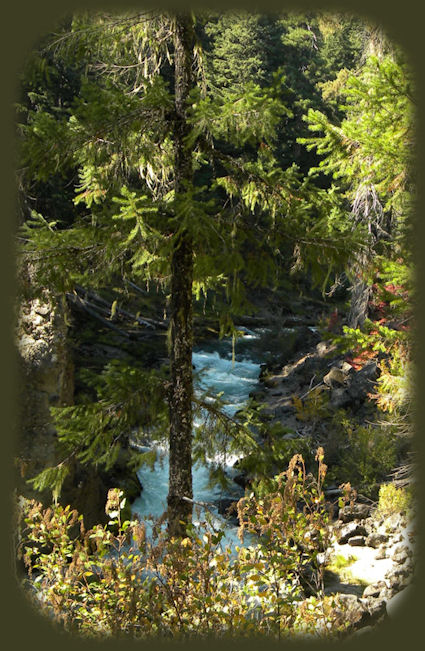 a brief diversion off the crater lake hwy at prospect oregon: see 
waterfalls, hiking trails, the avenue of giant boulders.