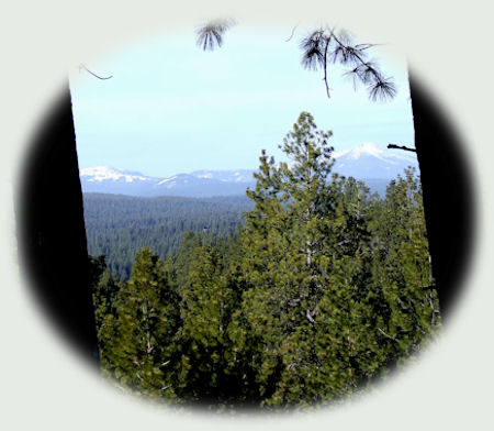 Cabins in the forest at Gathering Light ... a retreat located in southern Oregon near Crater Lake National Park.