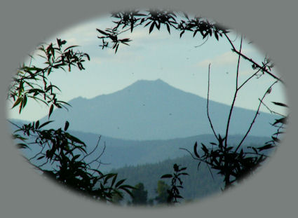 Wood River wetlands, one of the many klamath basin birding trails, near crater lake national park and the retreat located in southern Oregon near Crater Lake National Park.