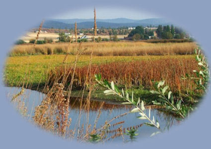 gathering light ... a retreat located in klamath basin in southern oregon near crater lake national park.