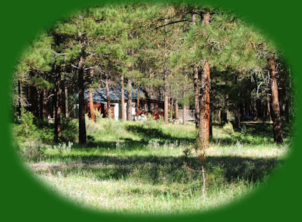 Cabins in the forest on the river at gathering light ... a retreat located in southern oregon near crater lake national park. travel to gathering light ... a retreat in southern oregon on scenic byways, along wild and scenic rivers, through our national forests and in the cascade mountains of oregon.