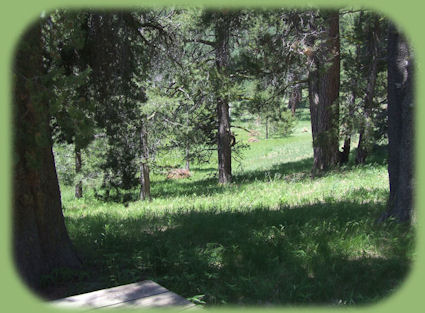 cottonwood lake in the oregon outback, a slight deviation from the oregon outback scenic byway.