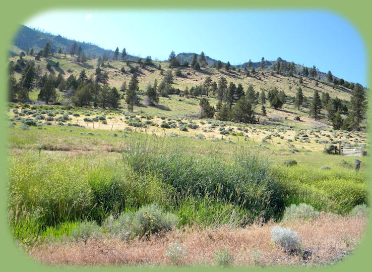 summer lake on the oregon outback scenic byway, an ancient alkaline lake, with hot springs, a wayside area dedicated to the explorer john fremont, summer lake wildlife area.