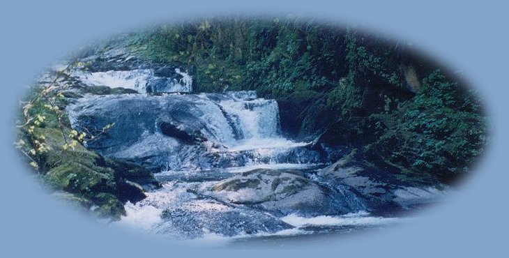 waterfalls on sweet creek, hiking near florence on the oregon coast in the siuslaw national forest.