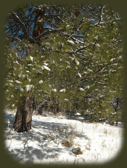 walking along the river at gathering light ... a retreat near crater lake in southern oregon
travel to union creek, oregon, hike the rogue river national hiking trail; visit crater lake national park, all within a day's journey from the retreat.