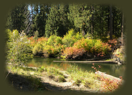 a brief diversion off the crater lake hwy at prospect oregon: see 
waterfalls, hiking trails, the avenue of giant boulders.