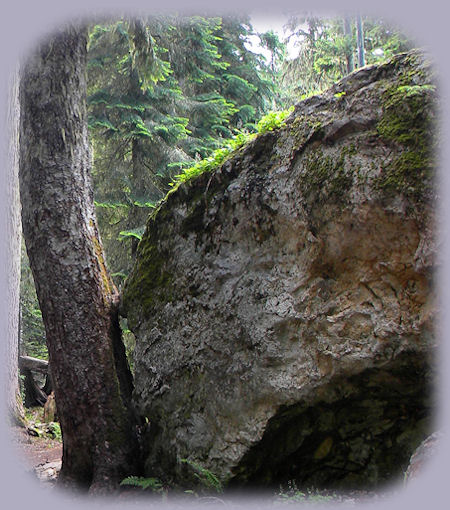 twin Lakes hiking trails, backpacking trails, campgrounds, mountain lakes, off the rogue umpqua national scenic byway in the umpqua national forest in oregon, hiking, backpacking into the lakes gives stupendous views of the cascade mountains of oregon: mt thielsen, crater lake, gives old growth forests, abundant wildflowers of all types. beautiful, almost beyond words, lakes abutting a magnificent cliff face, campsites available with fire rings all this in the umpqua river watershed of the umpqua national forest, abundance in itself: little river watershed of the wild and scenic umpqua river watershed: shadow waterfalls and hiking trails, cavitt creek recreation area: waterfalls, day use and campgrounds under the auspices of roseburg, oregon blm, wolf creek waterfalls and hiking trail, yakso waterfalls and hiking trail, hemlock waterfalls and hiking trail, (hemlock waterfalls and yakso waterfalls are at the campground for the lake in the woods and hemlock campground), grotto waterfalls and hiking trail. north umpqua river hiking trails, camping, rafting, fishing and more: deadline falls and hiking trail, north umpqua river hiking trail in oregon, susan creek waterfall: hiking trail, campground and day use area, fall creek waterfall and hiking trail, steamboat creek waterfalls and hiking trail and campground, toketee waterfalls and hiking trails, watson waterfalls and hiking trails, lemolo waterfalls, lemolo lake, campgrounds, boating, fishing, swimming. south umpqua river: south umpqua waterfalls: swimming, picnicking, cathedral waterfalls and hiking trail, campbell waterfalls and hiking trail in boulder creek wilderness. row river watershed in the umpqua river watershed of oregon: brice creek: campgrounds, day use areas, swimming, sunbathing, wildwater waterfalls lane country park: picnicking and swimming, hiking trails and waterfalls, trestle creek upper and lower waterfalls and hiking trails, parker waterfalls and hiking trails, layng creek: campgrounds, spirit waterfalls and hiking trails, moon falls and hiking trails, pinard waterfalls and hiking trails.